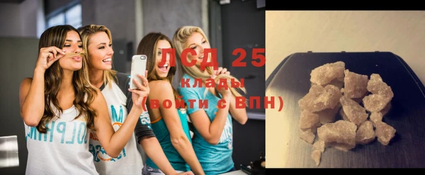 индика Богданович