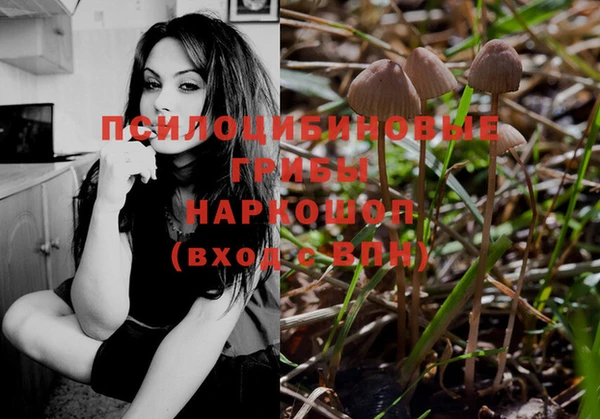 амф Бронницы
