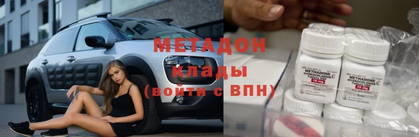 индика Богданович