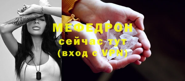 индика Богданович