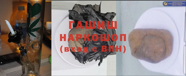 индика Богданович