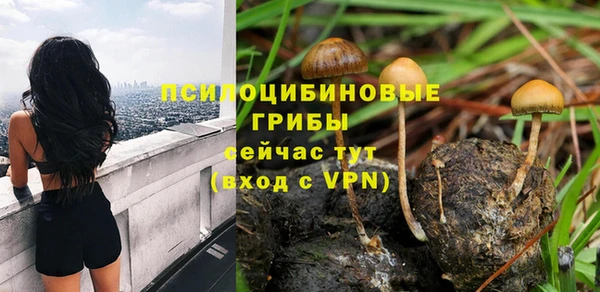 mdma Бородино
