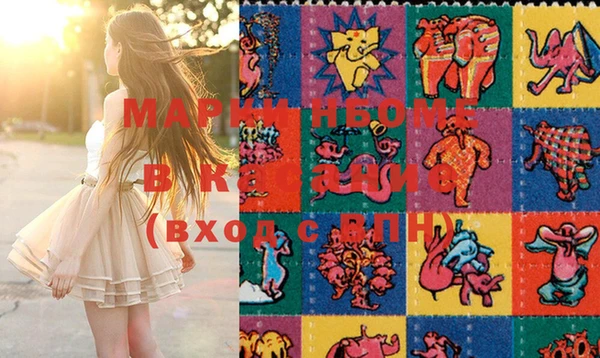 индика Богданович