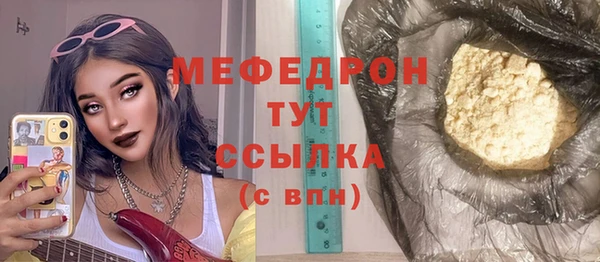 индика Богданович