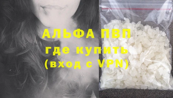индика Богданович